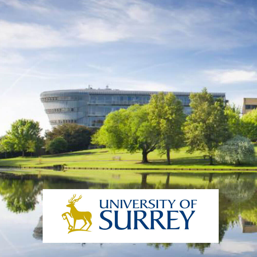 University of Surrey