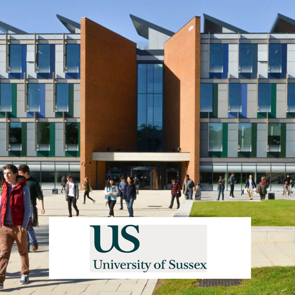 University of Sussex