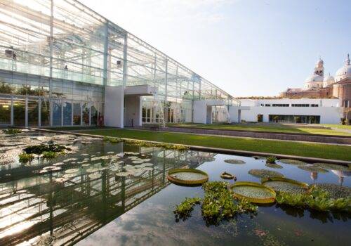 University Botanic Garden