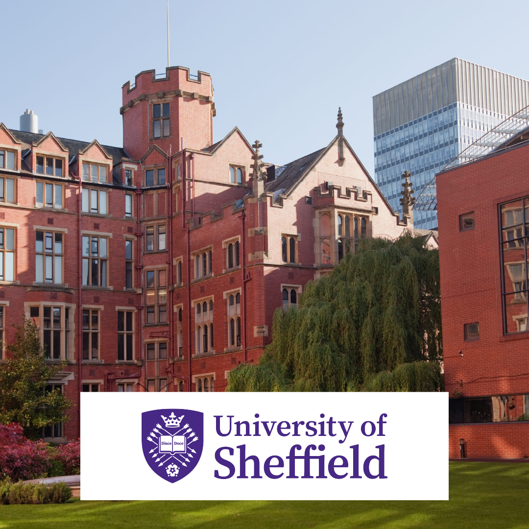 The University of Sheffield