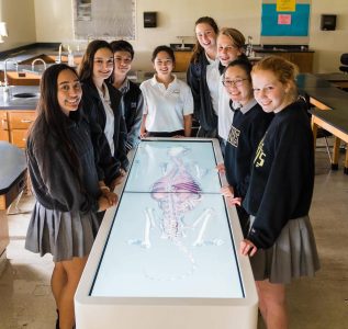 los_angeles_academics_anatomagetable02.jpg